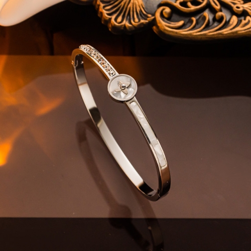 Stainless Steel Brand Bangle-NB240527-P14.5DXC