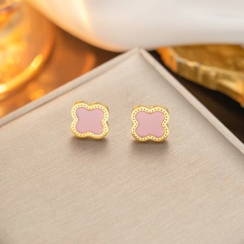 Stainless Steel Brand Earrings-NB240527-P4BJG (2)