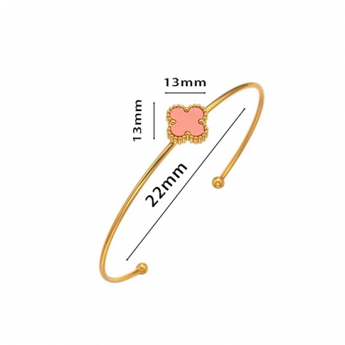 Stainless Steel Brand Bangle-NB240527-P6.5JRR (3)