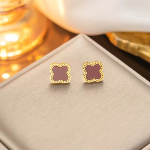 Stainless Steel Brand Earrings-NB240527-P4BJG (5)