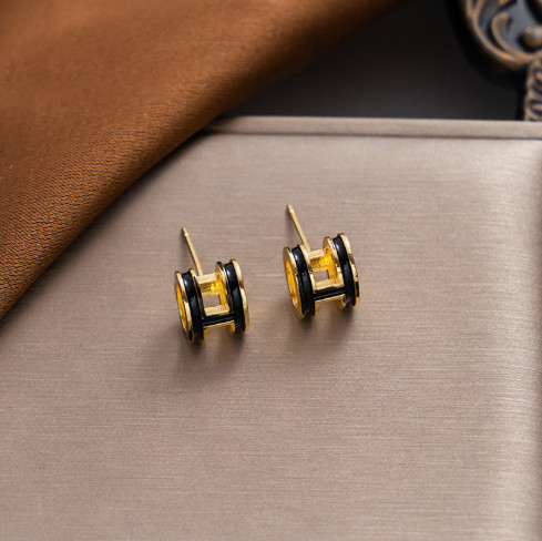 Stainless Steel Brand Earrings-NB240527-P6JJL (2)