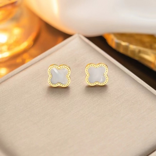 Stainless Steel Brand Earrings-NB240527-P4BJG (6)