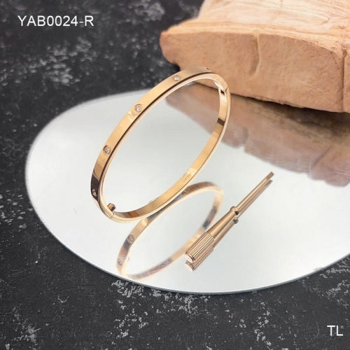 Stainless Steel Brand Bangle-SN240710-YAB0024-R-26.4