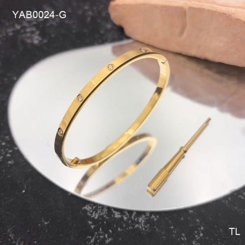 Stainless Steel Brand Bangle-SN240710-YAB0024-G-26.4