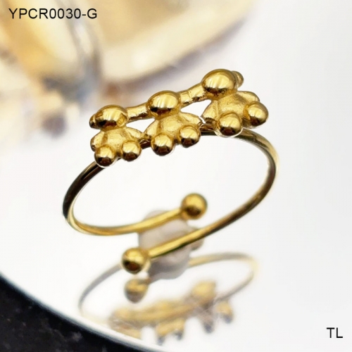 Stainless Steel TOU*S Bangle-SN240726-YPCR0030-G-12.7