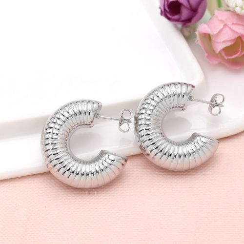 Stainless Steel Earrings-HY240730-P6BEWZ