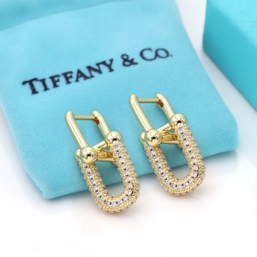 Stainless Steel Brand Earrings-HY240730-P14SWDZ