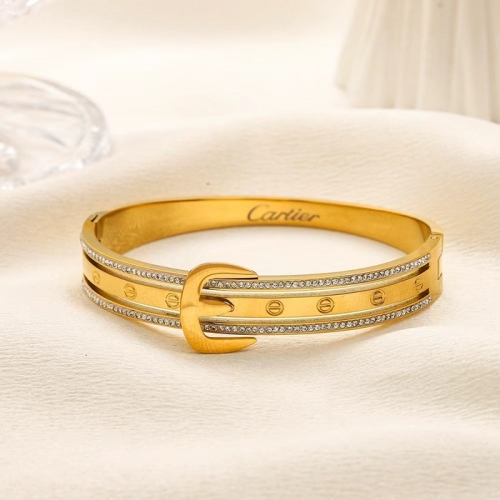 Stainless Steel Brand Bangle-YWA240808-P16VQWV (1)