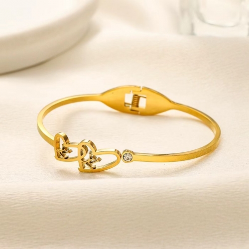 Stainless Steel Brand Bangle-YWA240808-P13BEED (2)