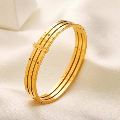 Stainless Steel Brand Bangle-YWA240808-P17VAER (1)