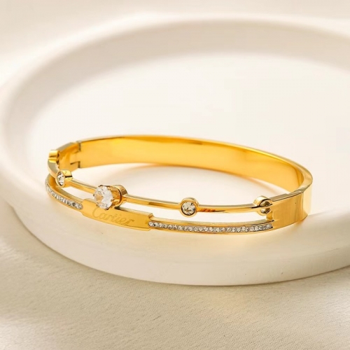 Stainless Steel Brand Bangle-YWA240808-P16.5VRED (1)