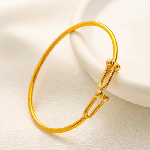 Stainless Steel Brand Bangle-YWA240808-P12VVZX