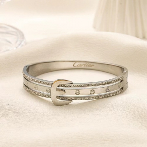 Stainless Steel Brand Bangle-YWA240808-P16VQWV (2)