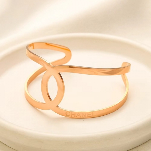 Stainless Steel Brand Bangle-YWA240808-P16.5BWED (2)