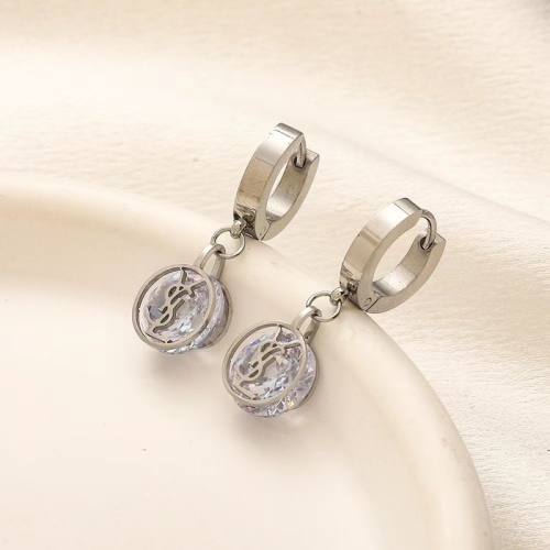 Stainless Steel Brand Earrings-YWA240808-P9OLKK (2)