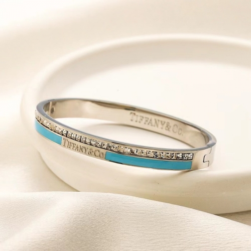 Stainless Steel Brand Bangle-YWA240808-P16VBXZ (1)