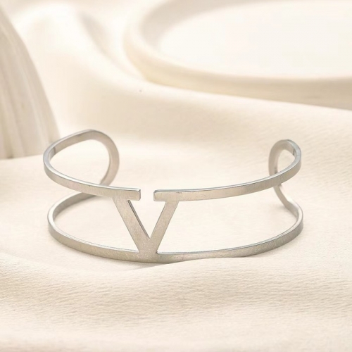 Stainless Steel Brand Bangle-YWA240808-P13BXXH (2)