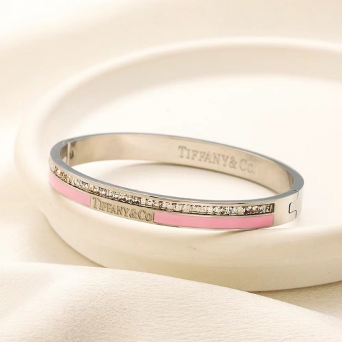 Stainless Steel Brand Bangle-YWA240808-P16VBXZ (2)