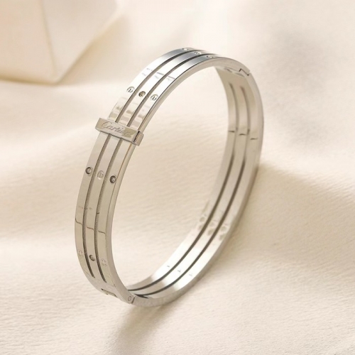 Stainless Steel Brand Bangle-YWA240808-P17VAER (2)