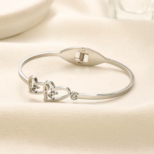 Stainless Steel Brand Bangle-YWA240808-P13BEED (1)