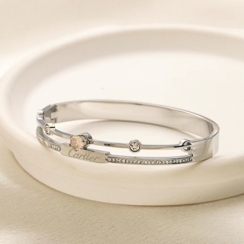 Stainless Steel Brand Bangle-YWA240808-P16.5VRED (2)