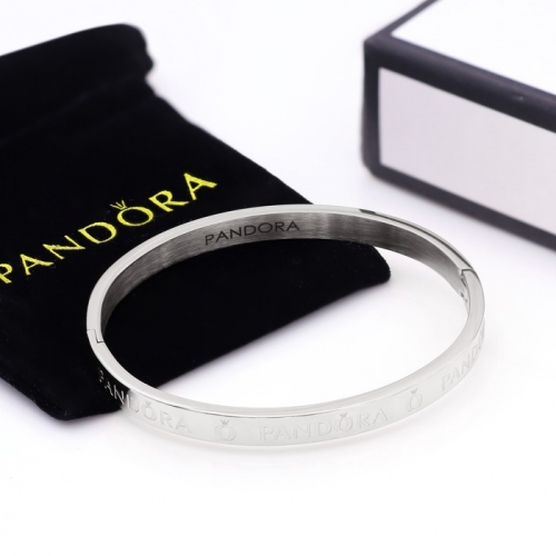 Stainless Steel Pandor*a Bangle-HY240904-P9VEED (3)