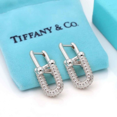 Stainless Steel Brand Earrings-HY240904-P14GVTT