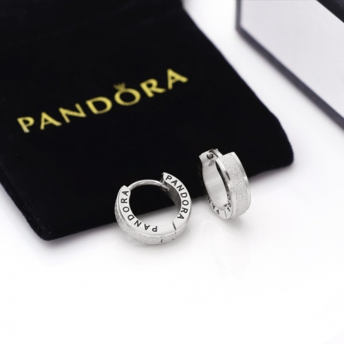 Stainless Steel Brand Earrings-HY240904-P10VWWE (1)