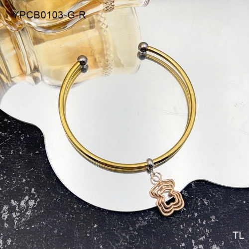 Stainless Steel Tou*s Bangle-SN240911-YPCB0103-G-R-15