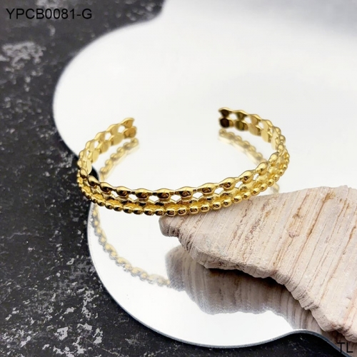 Stainless Steel Tou*s Bangle-SN240921-YPCB0081-G-17.5