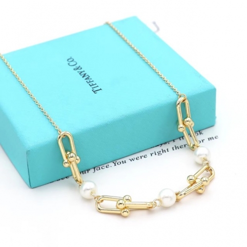 Stainless Steel Brand Necklace-SN241128-P12UUI9 (2)