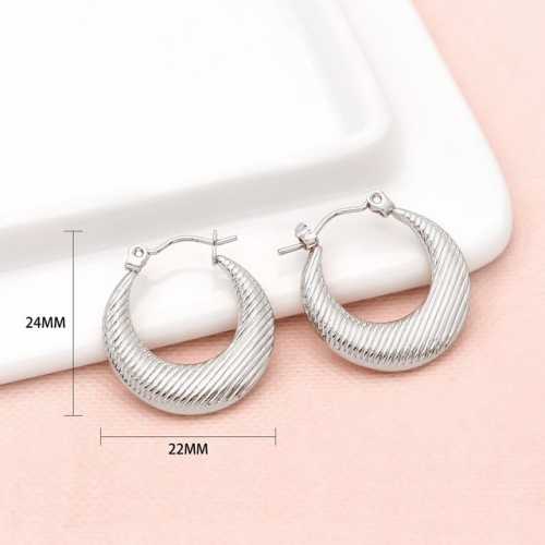 Stainless Steel Earrings-SN241128-P4OLLK (2)