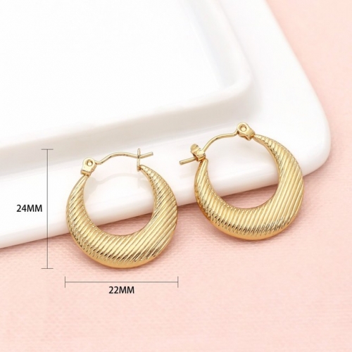 Stainless Steel Earrings-SN241128-P4OLLK (1)