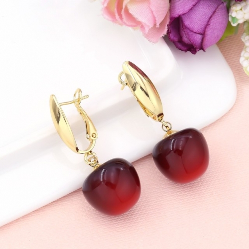 Stainless Steel Earrings-HY250417-P9DOIK (2)