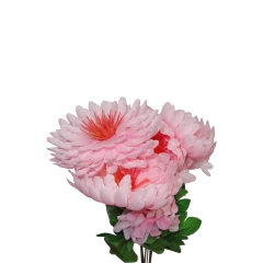 GERBERA  BOUQUET BLOOM