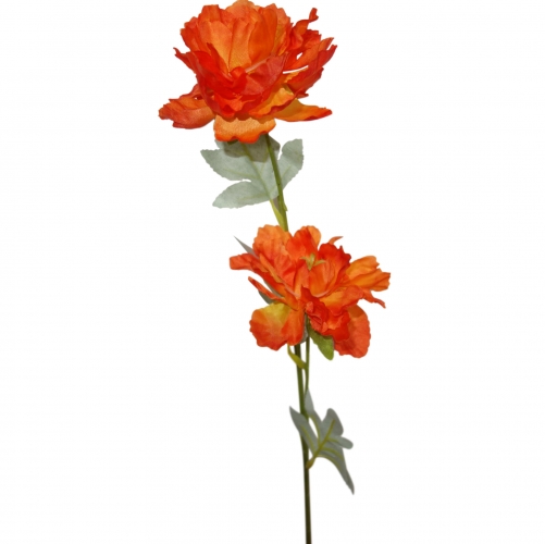 ROSE BLOOM TWIN HEAD