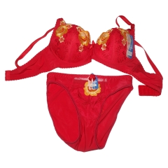 BRA & PANTY SET EMBRIODERY DESIGNS