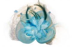 RACING CARNIVAL FANCY HAIR CLIP