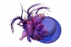 RACING CARNIVAL FANCY HAIR CLIP