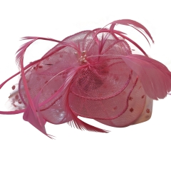 RACING CARNIVAL FANCY HAIR CLIP