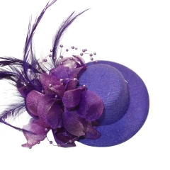 RACING CARNIVAL FANCY HAIR CLIP