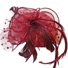 RACING CARNIVAL FANCY HAIR CLIP