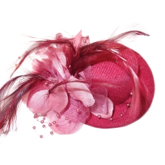 RACING CARNIVAL FANCY HAIR CLIP