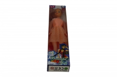 beautiful girl doll collection series