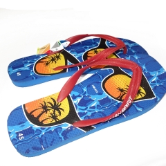 BEACH THONGS WITH HAWAII PRINTS SIZE 10-12