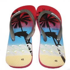 BEACH THONGS WITH HAWAII PRINTS SIZE 10-12