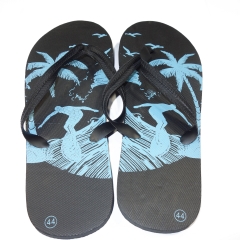 THONGS WITH SURF PRINT