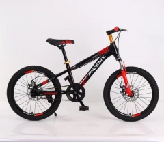 MOUNTAIN RACING BIKE ENDURANCE 26INCH