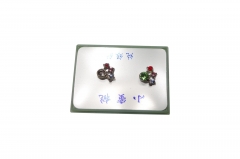 RHODIUME STUDS WITH COL STONE INSETS IN PVC GIFT BOX