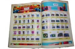 PAGES FROM 29 TO 43